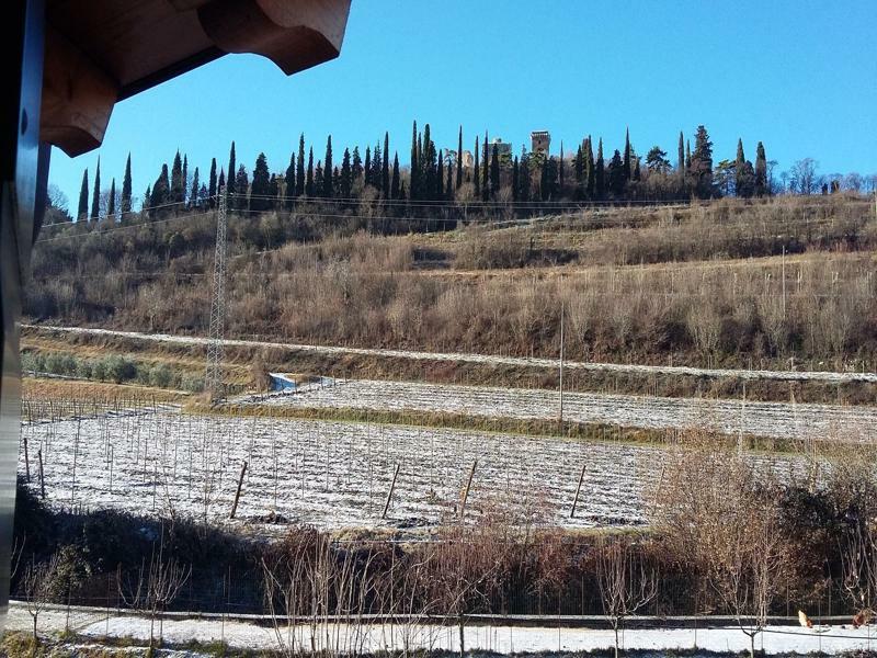 Agriturismo Corte Carolina Verona Ngoại thất bức ảnh